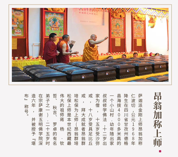 帝鸿龙