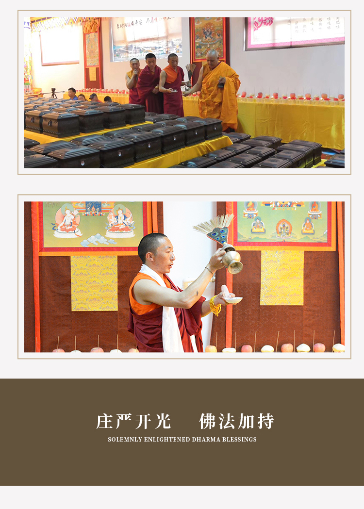 帝鸿龙